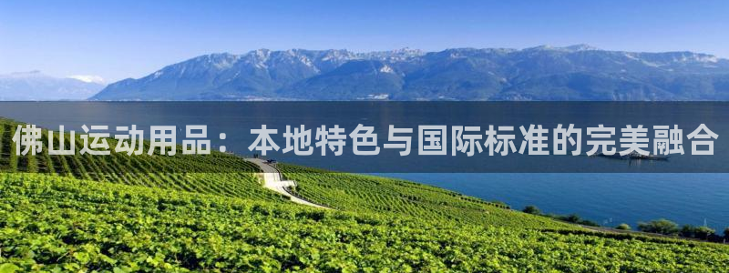 征途国际集团官网网址：佛山运动用品：本地特色与国际标