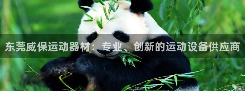 征途国际平台APP：东莞威保运动器材：专业、创新的运