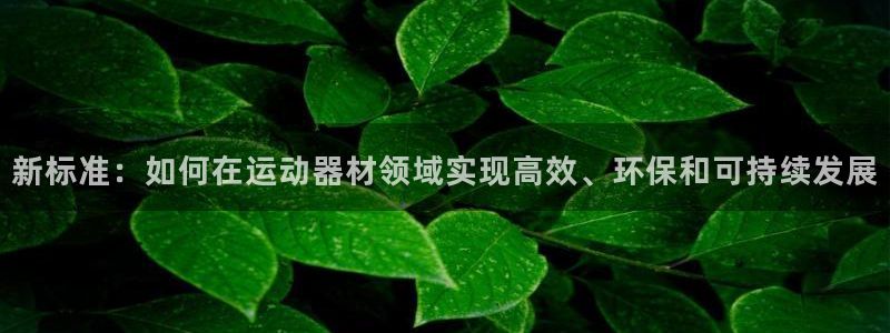 征途国际集团官网首页：新标准：如何在运动器材领域实现