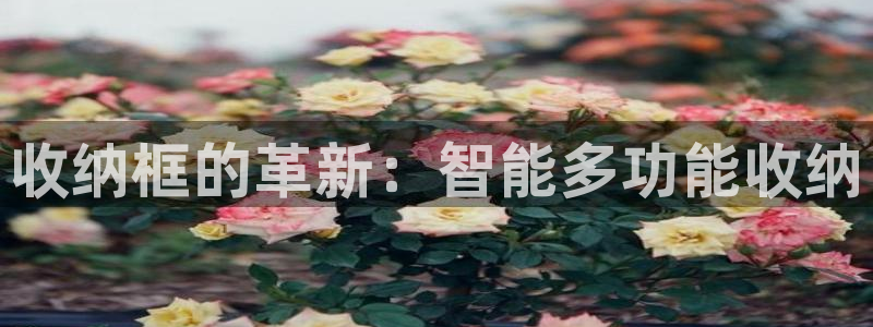 征途国际新能源：收纳框的革新：智能多功能收纳