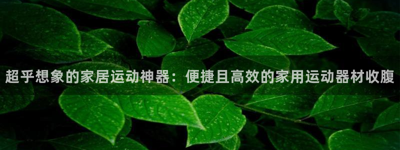 征途国际娱乐：超乎想象的家居运动神器：便捷且高效的家