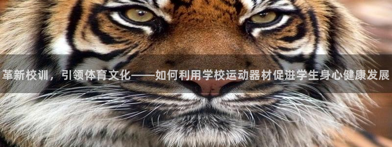征途国际集团官网网址：革新校训，引领体育文化——如何