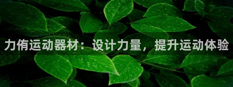 征途国际集团简介：力侑运动器材：设计力量，提升运动体
