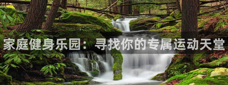征途国际招商