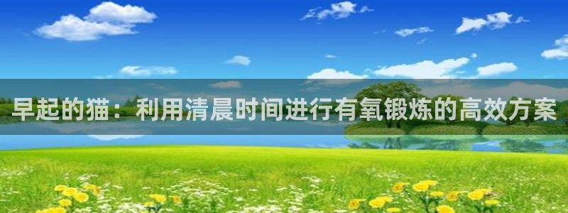 征途国际招商电话地址查询：早起的猫：利用清晨时间进行有氧锻炼