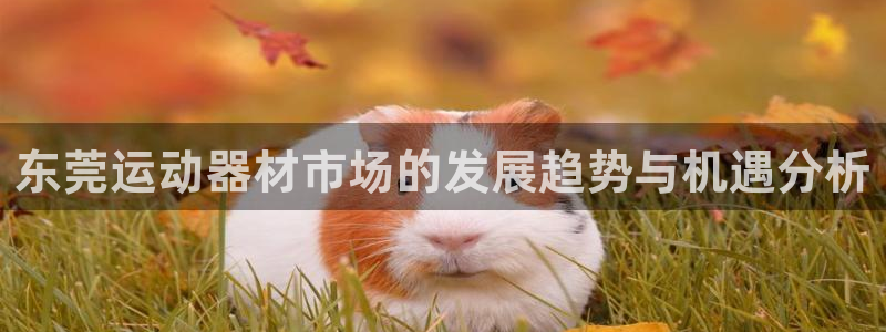 征途国际神州：东莞运动器材市场的发展趋势与机遇分析