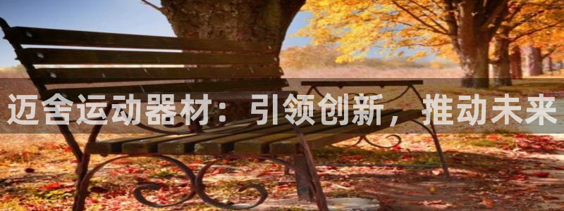 征途国际招商电话号码查询是多少：迈舍运动器材：引领创