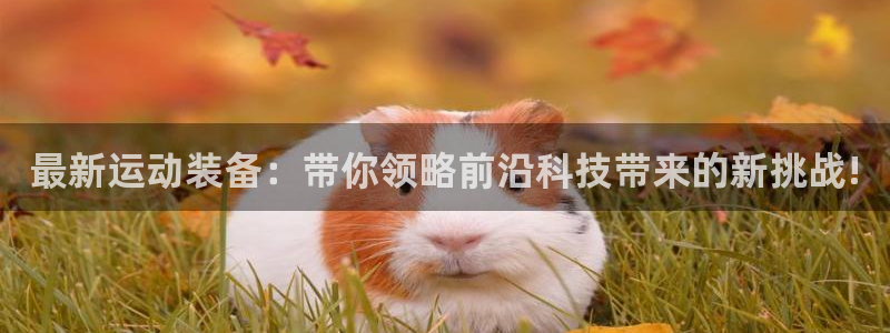 征途国际娱乐：最新运动装备：带你领略前沿科技带来的新