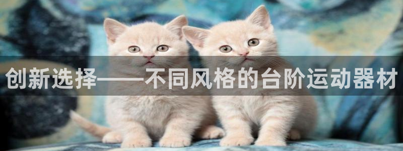 征途国际招商电话号码：创新选择——不同风格的台阶运动器材