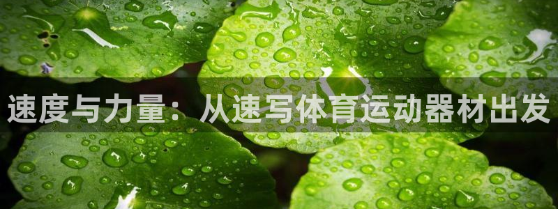 征途国际娱乐平台：速度与力量：从速写体育运动器材出发