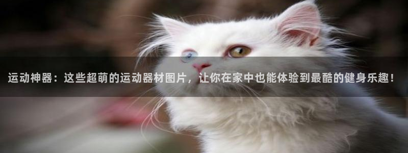 征途国际软件