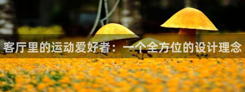 征途国际科技