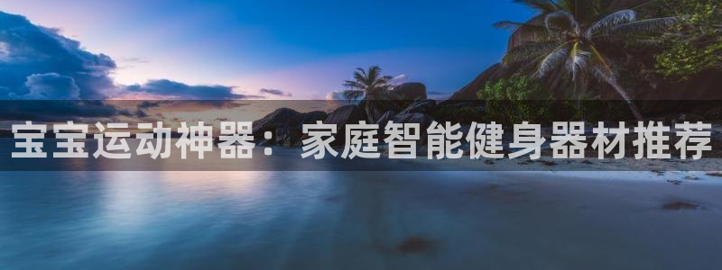 征途国际招商