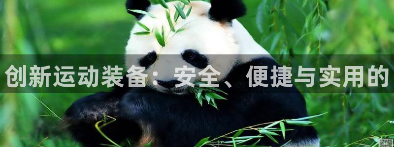 征途国际招商电话号码查询是多少：创新运动装备：安全、便捷与实