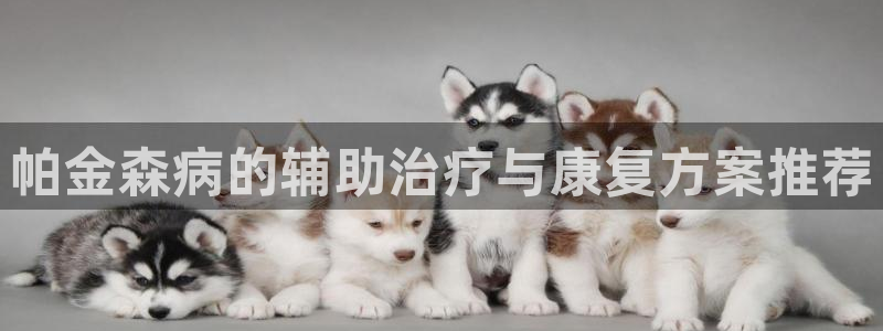 征途国际集团官网网址：帕金森病的辅助治疗与康复方案推荐